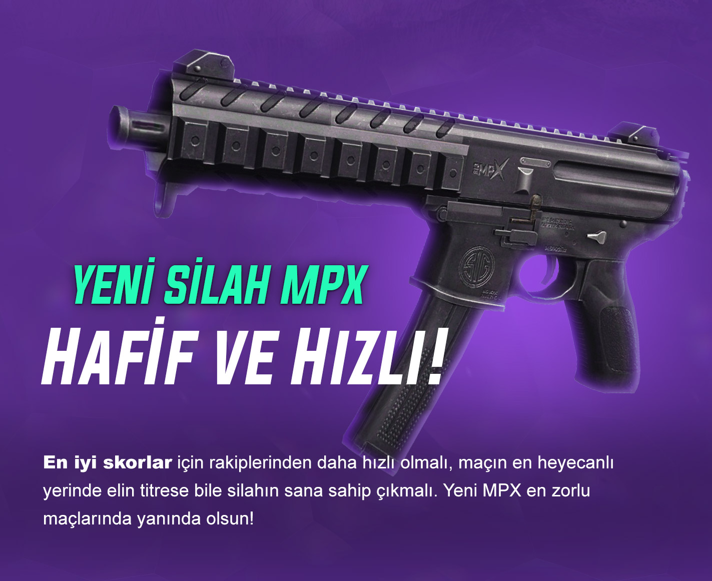 v231.jpg