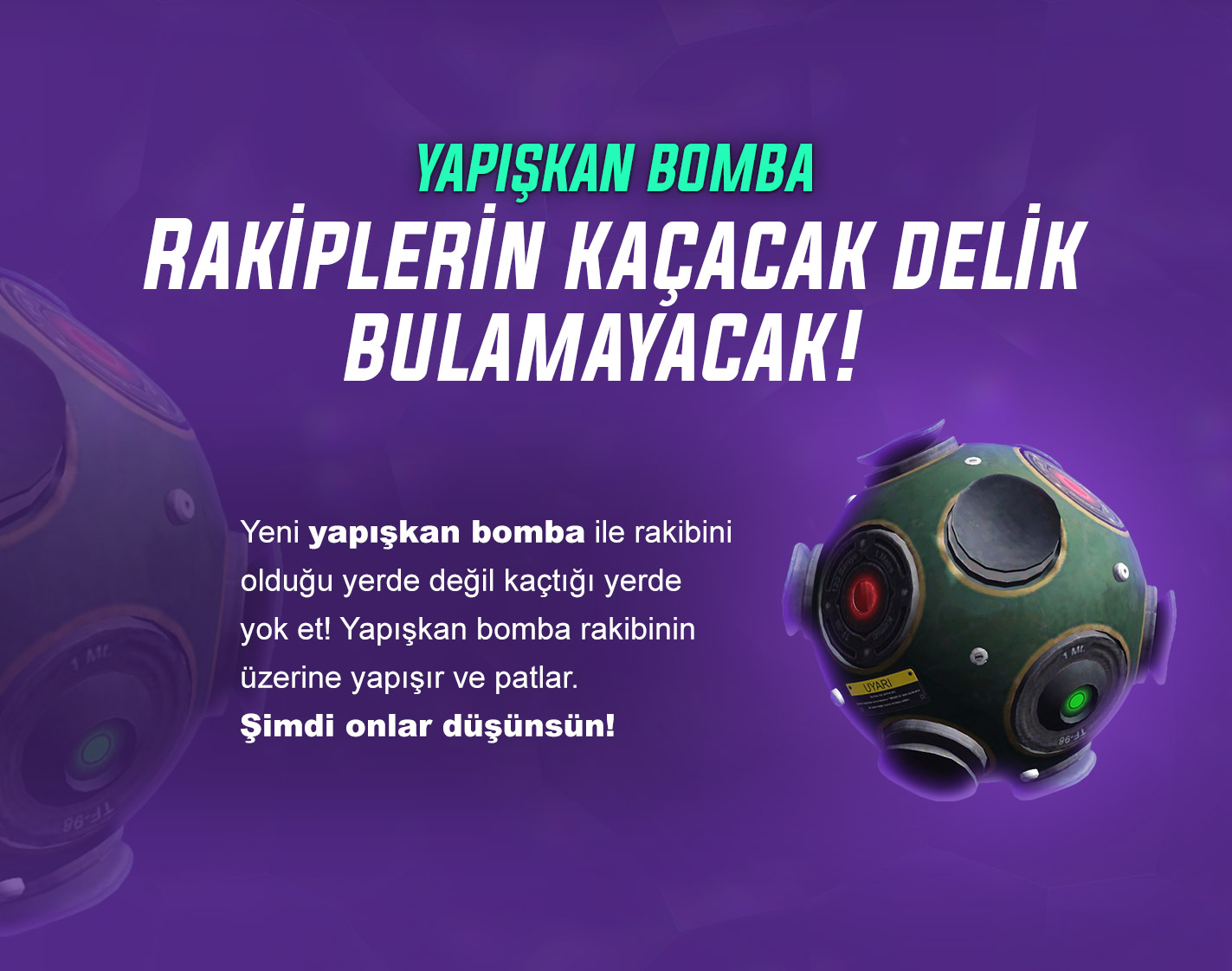v232.jpg